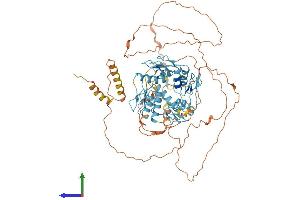 Protein Structure (PS) image for Zinc Finger Protein 333 (ZNF333) (AA 1-665) protein (His tag) (ABIN7545460)