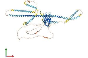 Protein Structure (PS) image for Sad1 and UNC84 Domain Containing 2 (SUN2) (AA 1-717) protein (His tag) (ABIN7555630)