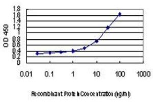 Detection limit for recombinant GST tagged C10orf7 is approximately 0. (CDC123 抗体  (AA 1-336))