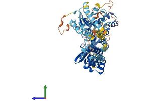 Protein Structure (PS) image for rho-Related BTB Domain Containing 3 (RHOBTB3) (AA 1-611) protein (His tag) (ABIN7551335)