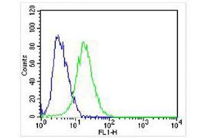 Overlay histogram showing SH-SY5Y cells stained with (ABIN6242228 and ABIN6578319) (green line). (NGFR 抗体  (C-Term))