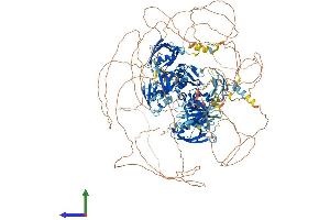 Protein Structure (PS) image for Membrane Associated Guanylate Kinase, WW and PDZ Domain Containing 1 (MAGI1) (AA 1-1471) protein (His tag) (ABIN7564146)