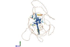 Protein Structure (PS) image for BTB and CNC Homology 1, Basic Leucine Zipper Transcription Factor 2 (BACH2) (AA 1-841) protein (His tag) (ABIN7552569)