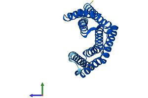 Protein Structure (PS) image for 14-3-3 gamma (YWHAG1) (AA 1-247) protein (His tag) (ABIN7556594)