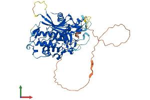 Protein Structure (PS) image for Adenosine Deaminase, tRNA-Specific 1 (ADAT1) (AA 1-502) protein (His tag) (ABIN7551980)