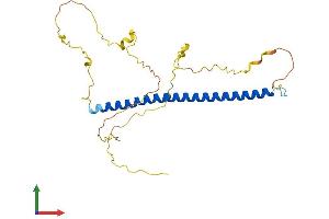 AlphaFold protein structure predicition of Human Recombinant FOSL1 Protein, UniprotID P15407