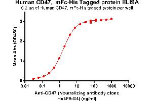 ELISA plate pre-coated by 2 μg/mL (100 μL/well) Human CD47, mFc-His tagged protein (ABIN6961081, ABIN7042191 and ABIN7042192) can bind Anti-CD47 (Neutralizing antibody clone Hu5F9-G4) ABIN6964414 and ABIN7272550 in a linear range of 0.