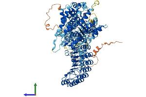 AlphaFold protein structure predicition of Human Recombinant NOD2 Protein, UniprotID Q9HC29 (NOD2 Protein (AA 1-1040) (His tag))