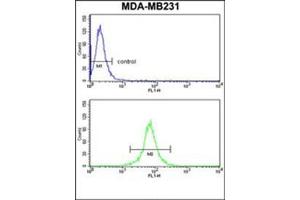 Flow Cytometry (FACS) image for anti-Killer Cell Immunoglobulin-Like Receptor, Two Domains, Long Cytoplasmic Tail, 4 (KIR2DL4) (AA 302-332), (C-Term) antibody (ABIN951198)