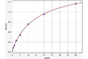 Typical standard curve (Hsc70 ELISA 试剂盒)