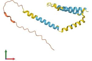 Protein Structure (PS) image for BCL2-Interacting Killer (Apoptosis-Inducing) (BIK) (AA 1-150) protein (His tag) (ABIN7562537)