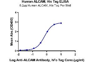 ELISA image for Activated Leukocyte Cell Adhesion Molecule (ALCAM) (AA 28-526) protein (His tag) (ABIN7273815)