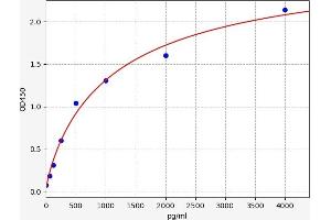 Chemokine (C-C Motif) Ligand 25 (CCL25) ELISA Kit
