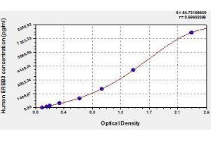 Typical standard curve (ERBB3 ELISA 试剂盒)