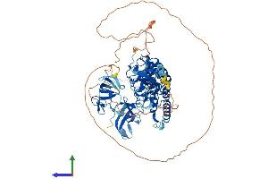 Protein Structure (PS) image for CAP-GLY Domain Containing Linker Protein Family, Member 4 (CLIP4) (AA 1-705) protein (His tag) (ABIN7546533)