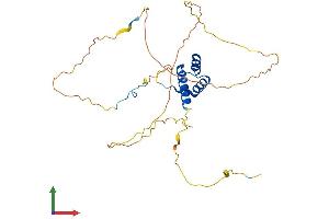 AlphaFold protein structure predicition of Mouse Recombinant Hoxb1 Protein, UniprotID P17919