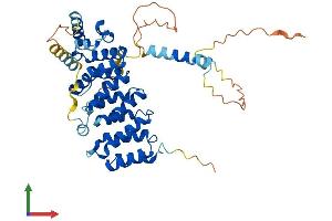 AlphaFold protein structure predicition of Human Recombinant BYSL Protein, UniprotID Q13895