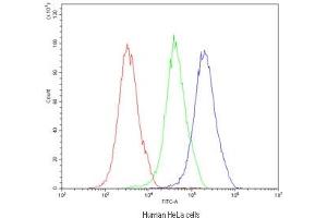 Flow Cytometry (FACS) image for anti-Major Vault Protein (MVP) antibody (ABIN5708257)