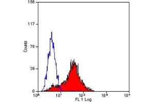 Staining of human peripheral blood lymphocytes with MOUSE ANTI HUMAN CD305(ABIN119871). (LAIR1 抗体)