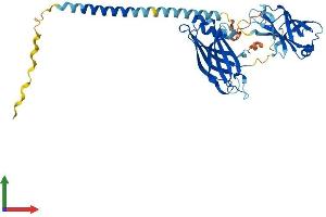 AlphaFold protein structure predicition of Mouse Recombinant Syt5 Protein, UniprotID Q9R0N5