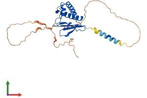 Protein Structure (PS) image for BTG Family, Member 3 (BTG3) (AA 1-252) protein (His tag) (ABIN7552818)