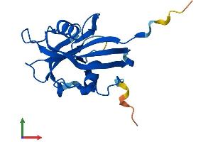Protein Structure (PS) image for Nudix (Nucleoside Diphosphate Linked Moiety X)-Type Motif 15 (NUDT15) (AA 1-170) protein (His tag) (ABIN7558536)