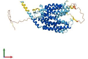 Protein Structure (PS) image for Major Facilitator Superfamily Domain Containing 2A (MFSD2A) (AA 1-543) protein (His tag) (ABIN7554772)