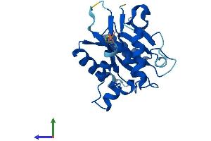 AlphaFold protein structure predicition of Human Recombinant EMC9 Protein, UniprotID Q9Y3B6