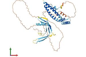 Protein Structure (PS) image for Elongation Factor RNA Polymerase II-Like 3 (ELL3) (AA 1-397) protein (His tag) (ABIN7553780)