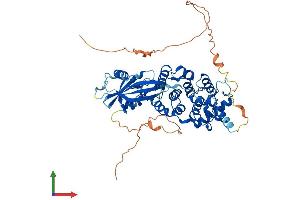 AlphaFold protein structure predicition of Human Recombinant MUTYH Protein, UniprotID Q9UIF7