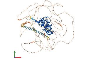 Protein Structure (PS) image for BMP2 Inducible Kinase (BMP2K) (AA 1-1161) protein (His tag) (ABIN7552739)