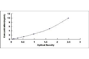 Typical standard curve (CCR2 ELISA 试剂盒)