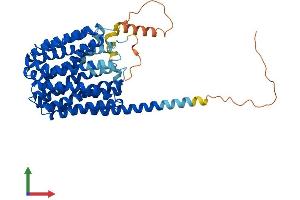 AlphaFold protein structure predicition of Mouse Recombinant Slc16a1 Protein, UniprotID P53986 (SLC16A1 Protein (AA 1-493) (His tag))