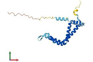 Protein Structure (PS) image for Rab Acceptor 1 (Prenylated) (RABAC1) (AA 1-185) protein (His tag) (ABIN7556357)