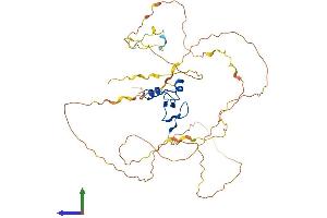 Protein Structure (PS) image for Pygopus Homolog 1 (Drosophila) (PYGO1) (AA 1-419) protein (His tag) (ABIN7551130)