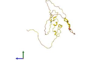AlphaFold protein structure predicition of Mouse Recombinant Spata3 Protein, UniprotID Q9D9T6 (SPATA3 Protein (AA 1-193) (His tag))