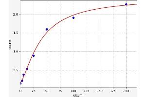 CGA ELISA 试剂盒