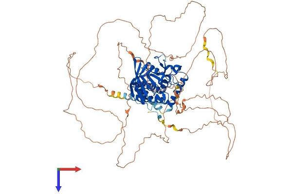 PTPN22 Protein (AA 1-802) (His tag)