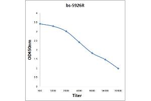 Antigen: 0. (MAS1L 抗体  (AA 201-300))