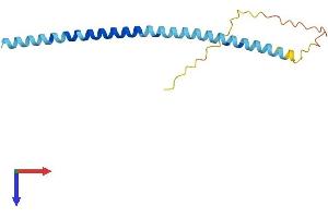 Protein Structure (PS) image for Synuclein, alpha (SNCA) (AA 1-140) protein (His tag) (ABIN7544253)