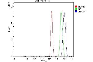 Flow Cytometry analysis of C6 cells using anti-Hsp40/DNAJB1 antibody (ABIN7602895). (DNAJB1 抗体  (C-Term))