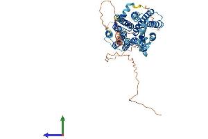 Protein Structure (PS) image for Solute Carrier Family 29 (Nucleoside Transporters), Member 4 (SLC29A4) (AA 1-528) protein (His tag) (ABIN7564688)
