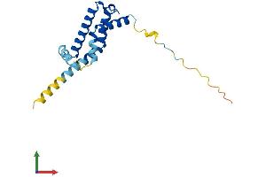 Protein Structure (PS) image for ADP-Ribosylation Factor-Like 2 Binding Protein (ARL2BP) (AA 1-163) protein (His tag) (ABIN7560944)