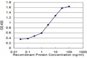 Detection limit for recombinant GST tagged DBN1 is approximately 0. (DBN1 抗体  (AA 1-649))