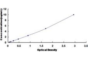 Typical standard curve (p63 ELISA 试剂盒)