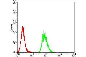 Flow cytometric analysis of Hela cells using VP2 mouse mAb (green) and negative control (red). (VP2 (AA 296-438) 抗体)