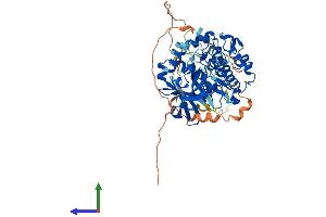 Protein Structure (PS) image for 3-phosphoinositide Dependent Protein Kinase-1 (PDPK1) (AA 1-556) protein (His tag) (ABIN7554880)