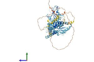 Protein Structure (PS) image for Ring Finger Protein 103 (RNF103) (AA 1-685) protein (His tag) (ABIN7551469)