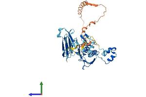 Protein Structure (PS) image for Matrix Metallopeptidase 23B (MMP23B) (AA 1-390) protein (His tag) (ABIN7549420)