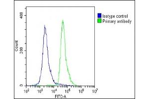 Overlay histogram showing U-2 OS cells stained with (ABIN655307 and ABIN2844889)(green line). (RAB12 抗体  (N-Term))